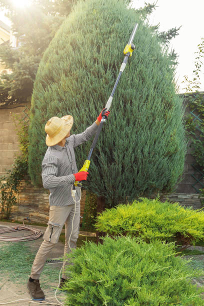 Best Storm Damage Tree Cleanup  in Newstle, CA